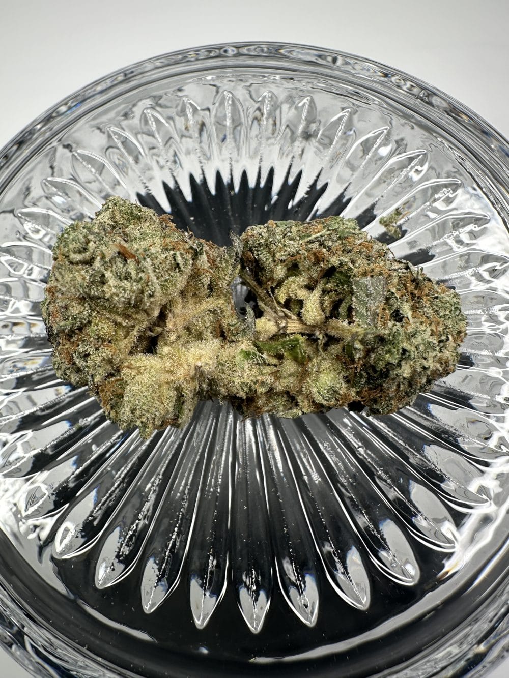 Bluefin Tuna - Indica - Premium Flower - Image 3