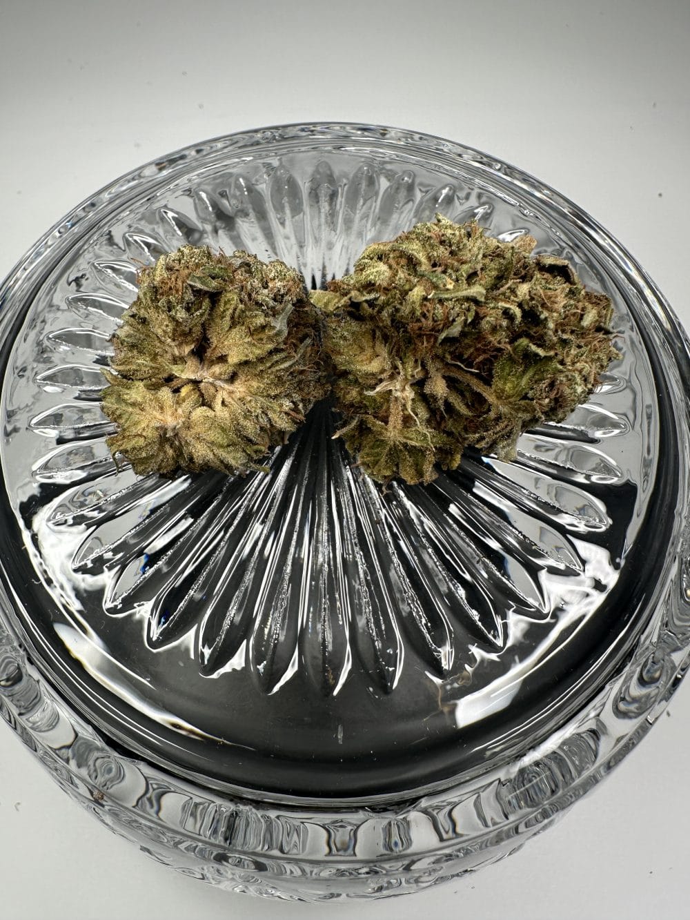 Butterscotch - Indica - Flower - Image 3