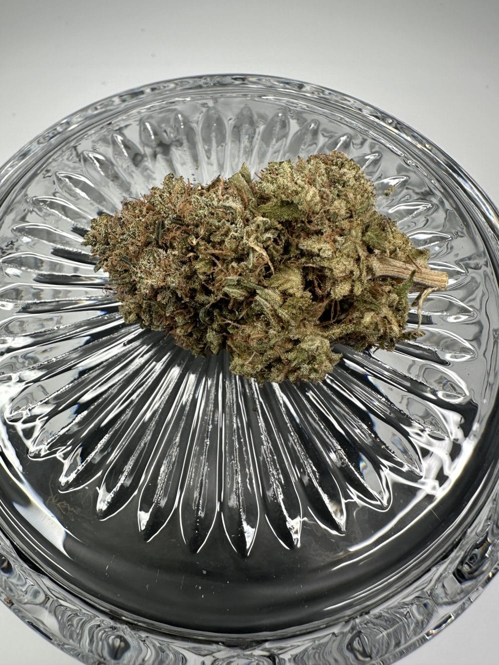 Butterscotch - Indica - Flower - Image 2