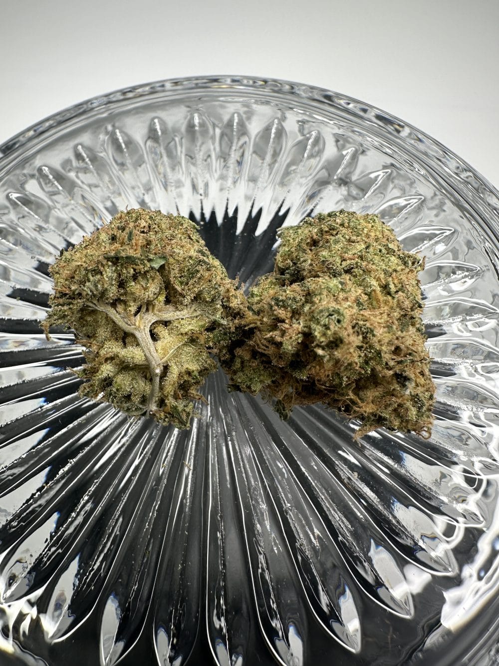 Citral Glue - Sativa - Premium Flower - Image 3