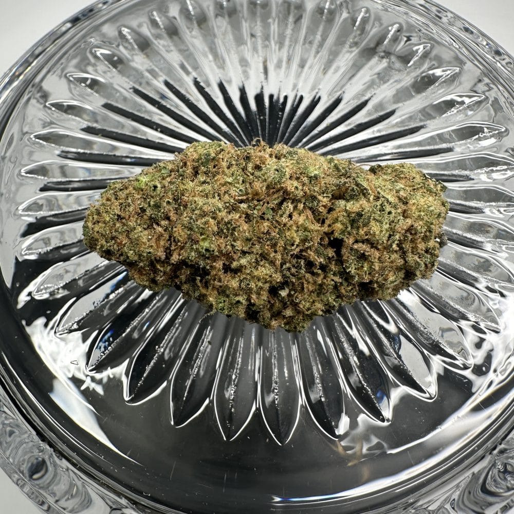 Shop Secondary Image Shop Secondary Image