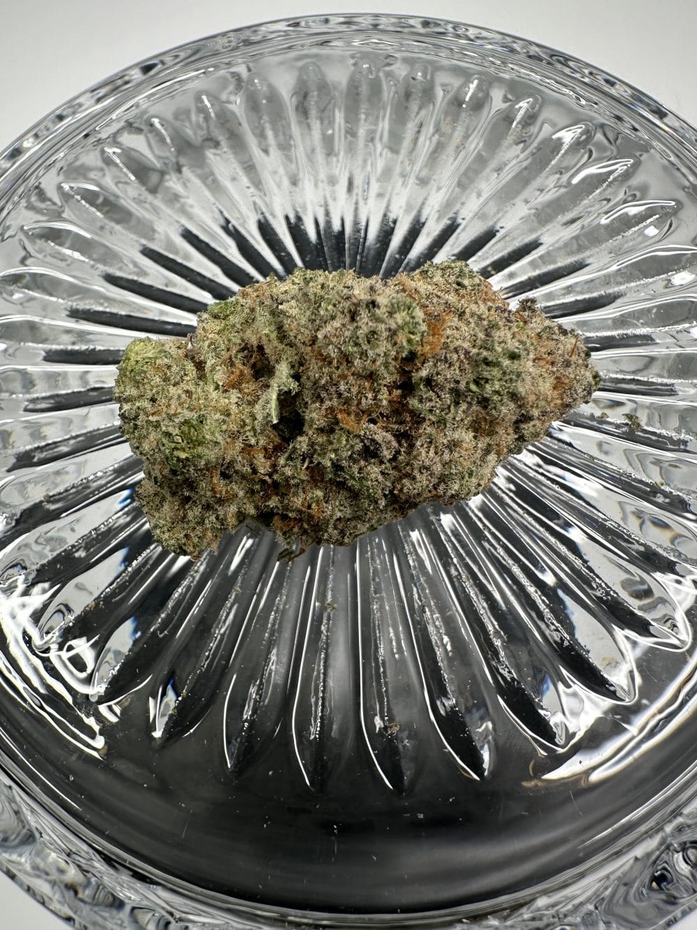 Cookie Dough - Hybrid - Flower - Image 2