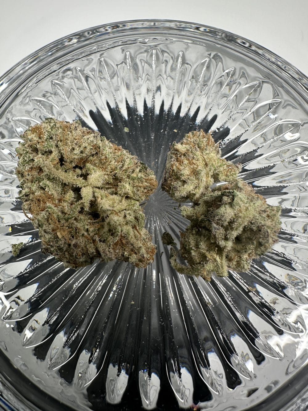 Cookies and Cream - Hybrid - Flower - Image 3