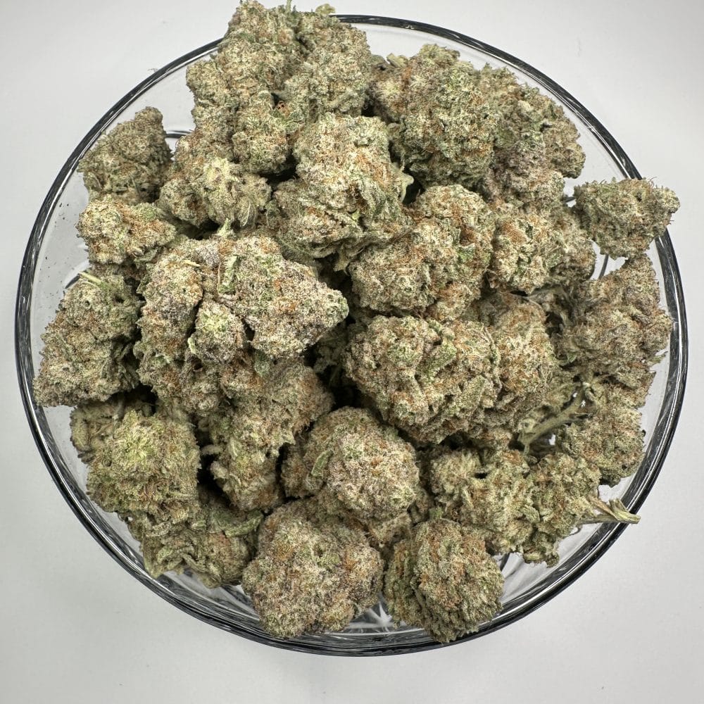 Shop Primary Image Shop Primary Image