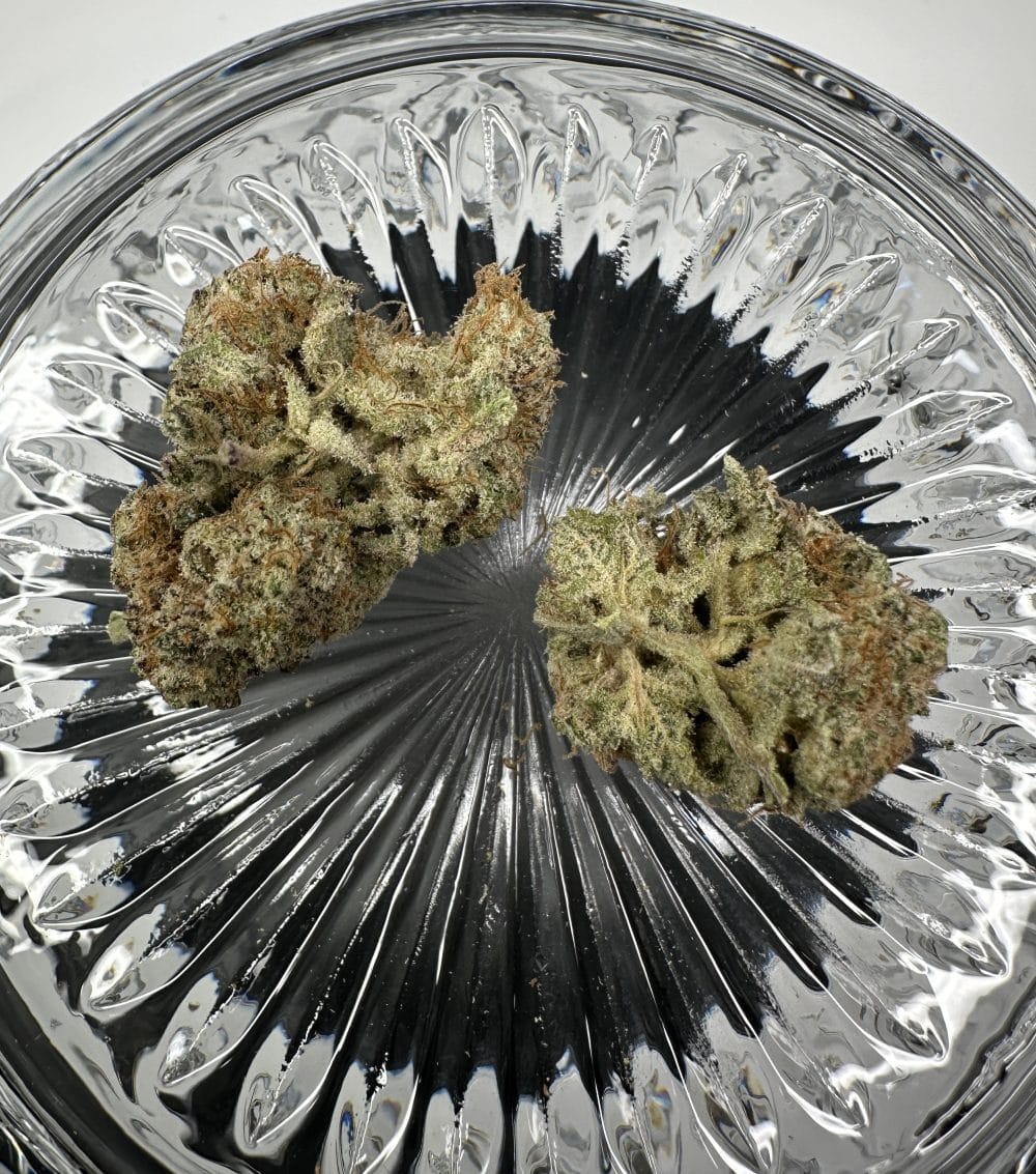 Cotton Candy - Hybrid - Flower - Image 3