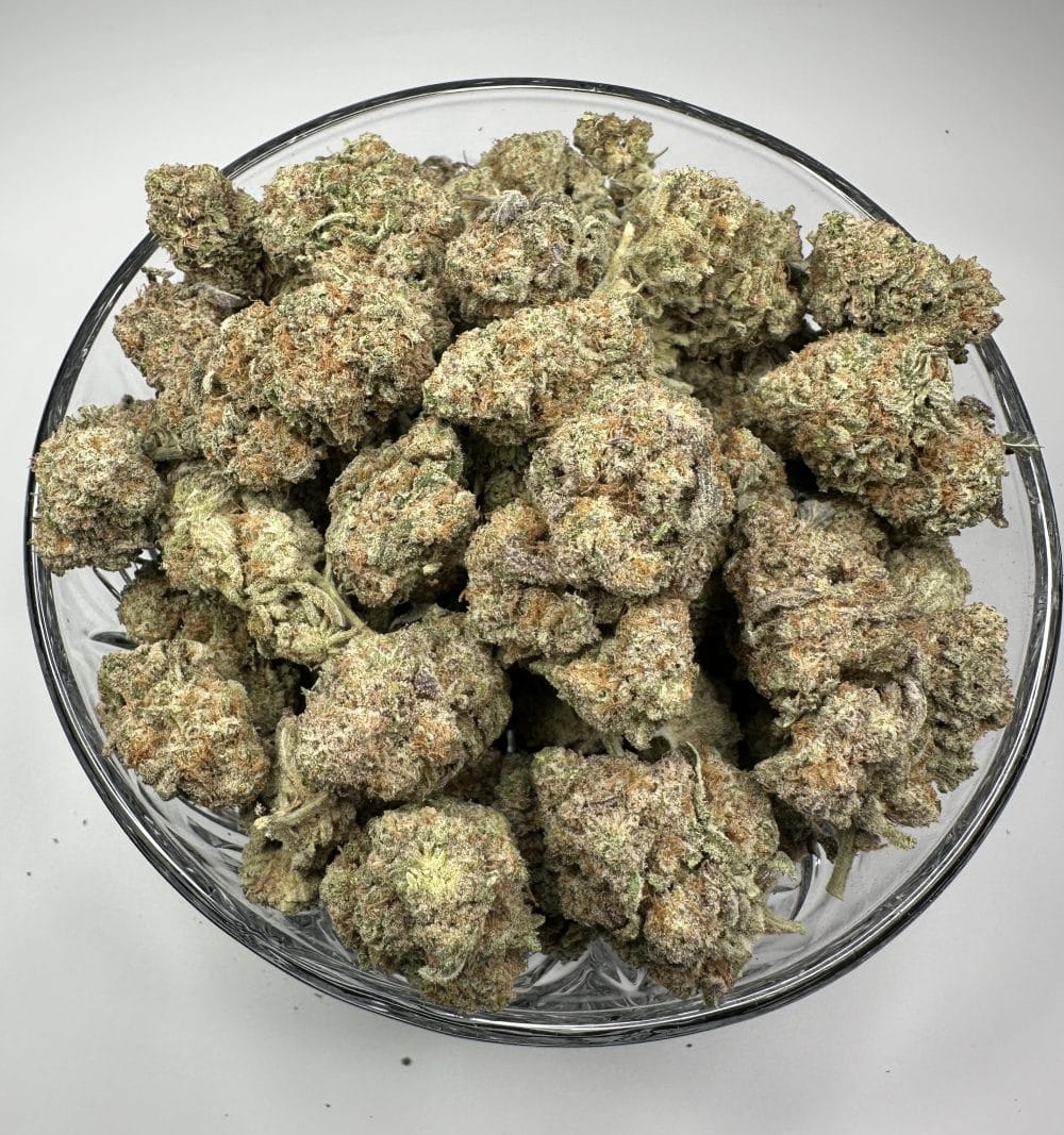 Cotton Candy - Hybrid - Flower