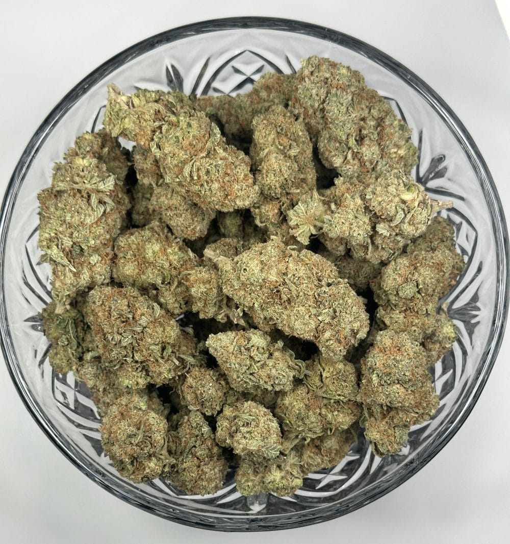 Cream - Hybrid - Flower