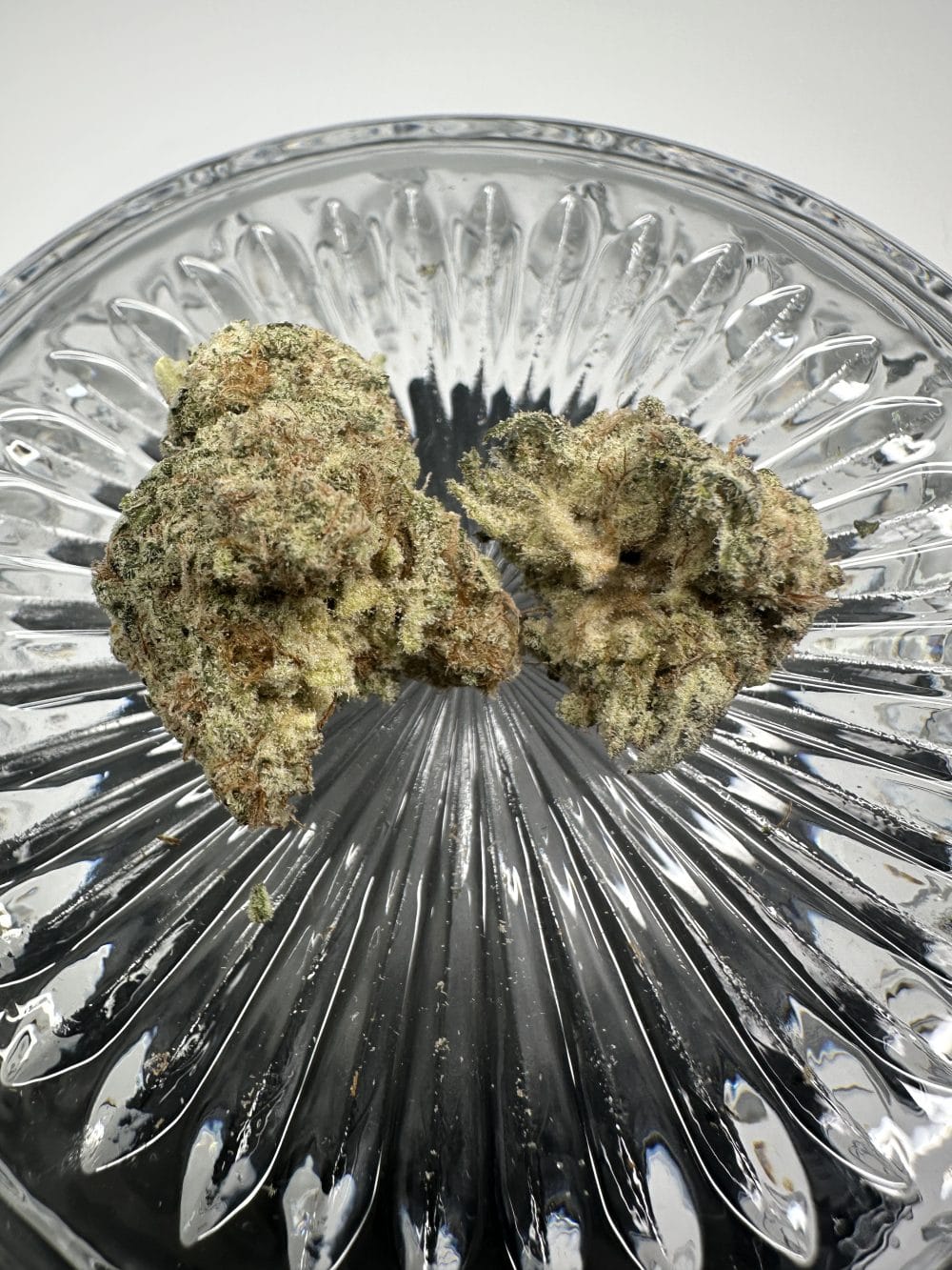 Donkey Kong - Hybrid - Premium Flower - Image 3