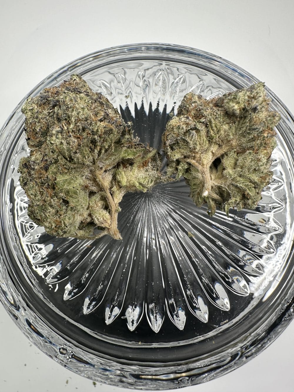 Donkey Butter - Indica - Premium Flower - Image 3