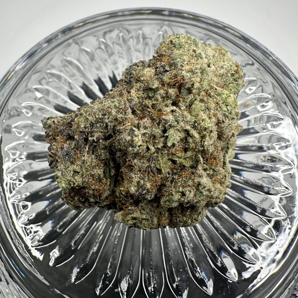 Shop Secondary Image Shop Secondary Image