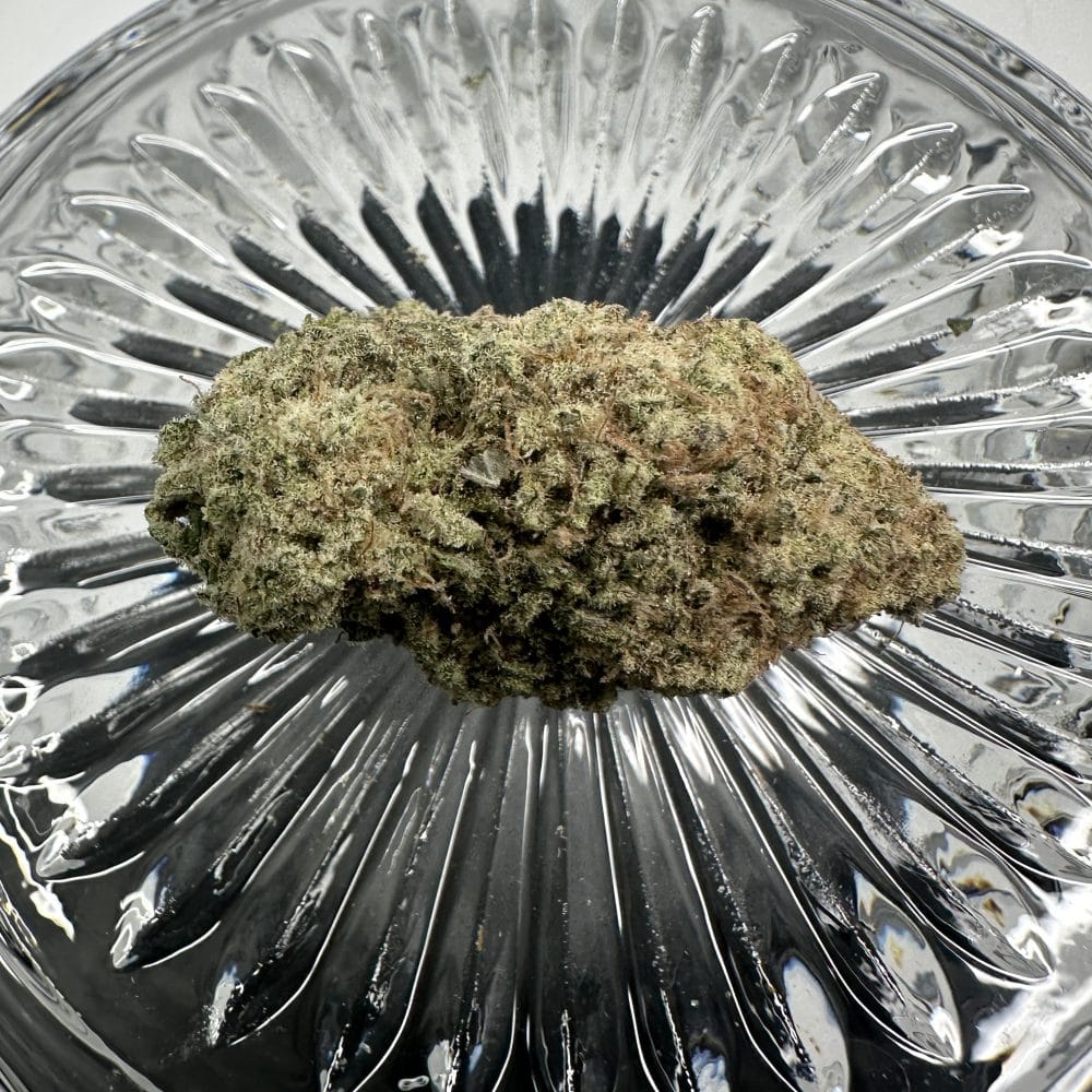 Shop Secondary Image Shop Secondary Image