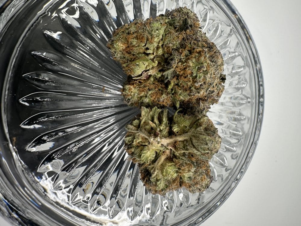 God's Bubba - Hybrid - Flower - Image 3