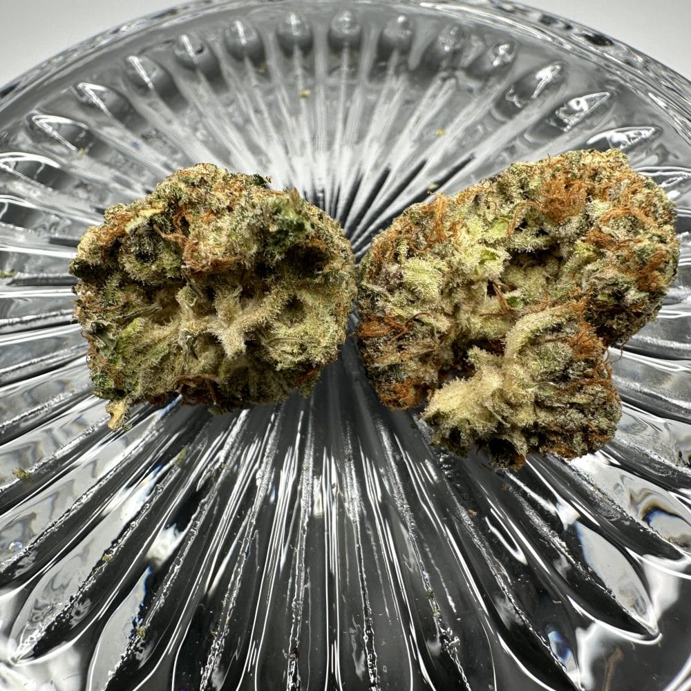 Shop Secondary Image Shop Secondary Image