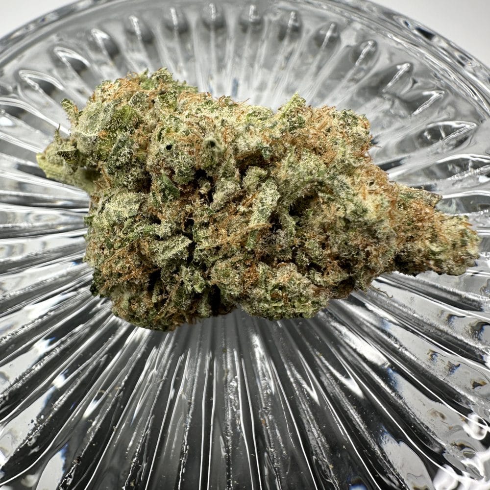 Shop Secondary Image Shop Secondary Image