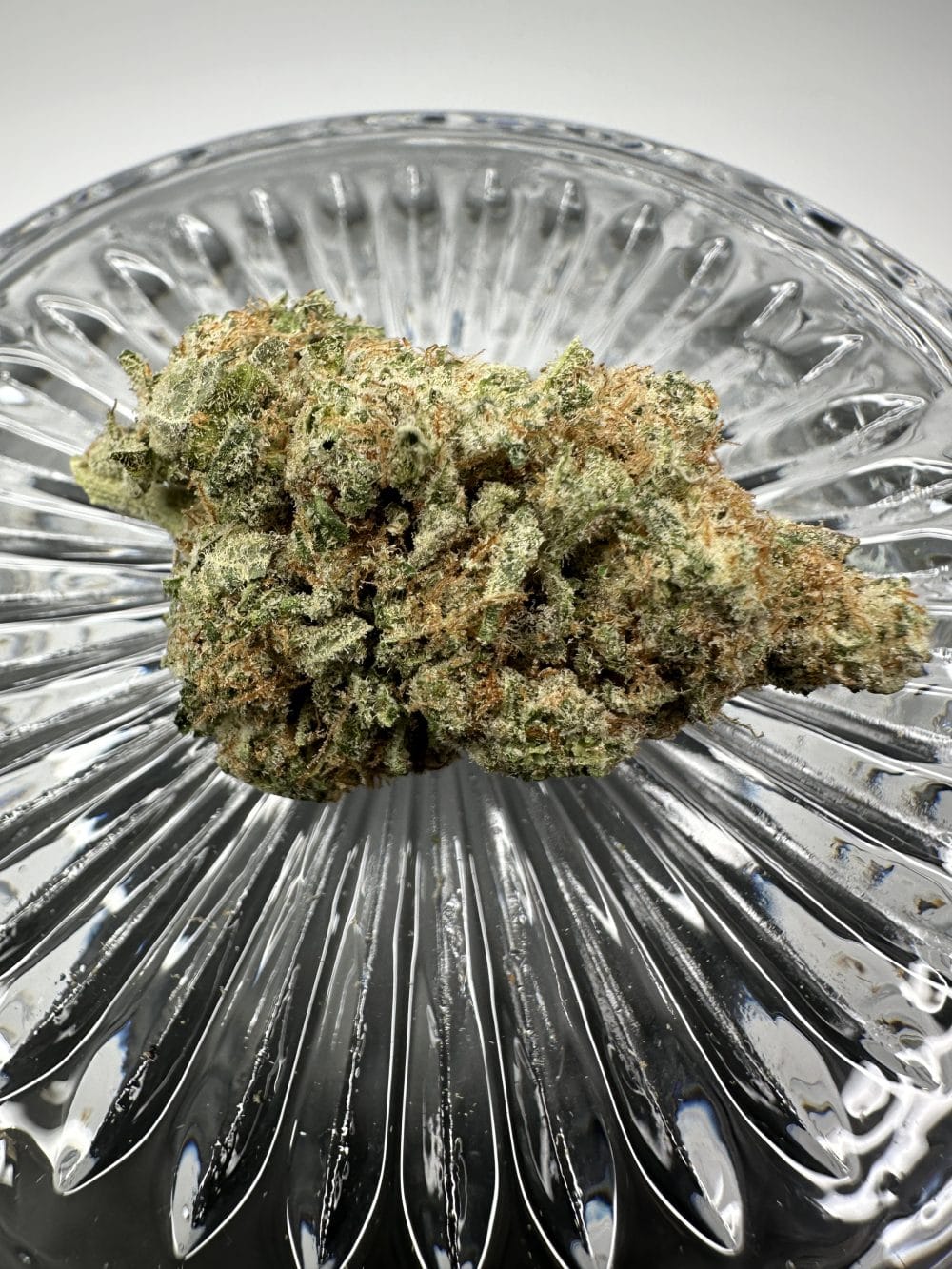 Blue Moonshine - Flower - Image 2