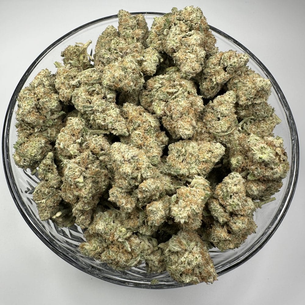 Shop Primary Image Shop Primary Image