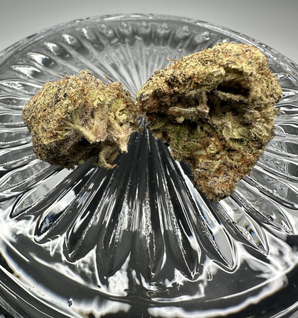 Motorhead - Hybrid - Flower - Image 3