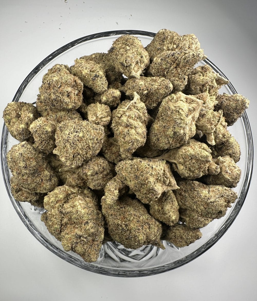 Motorhead - Hybrid - Flower