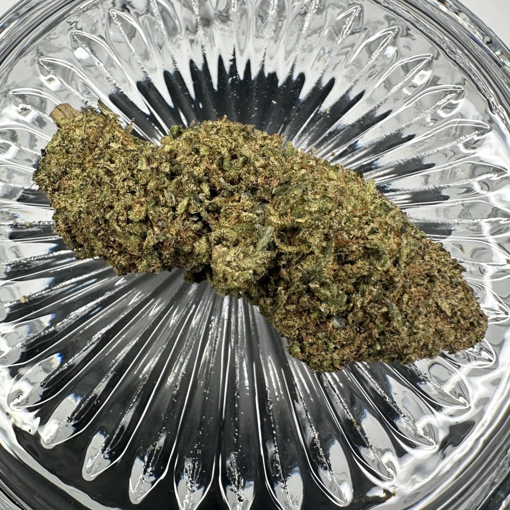 Shop Secondary Image Shop Secondary Image