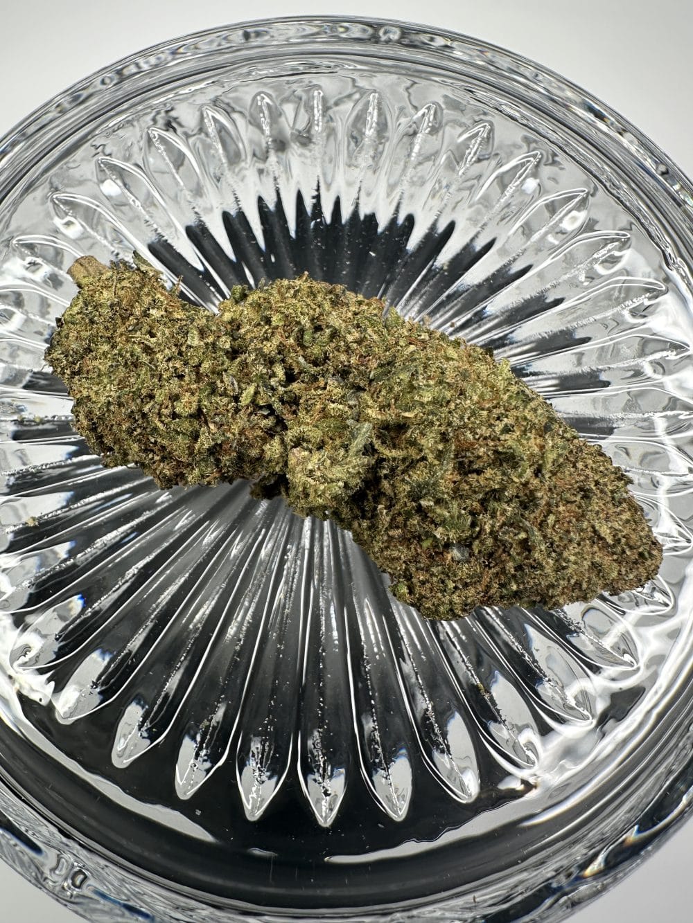 Peanut Butter MAC - Hybrid - Flower - Image 2