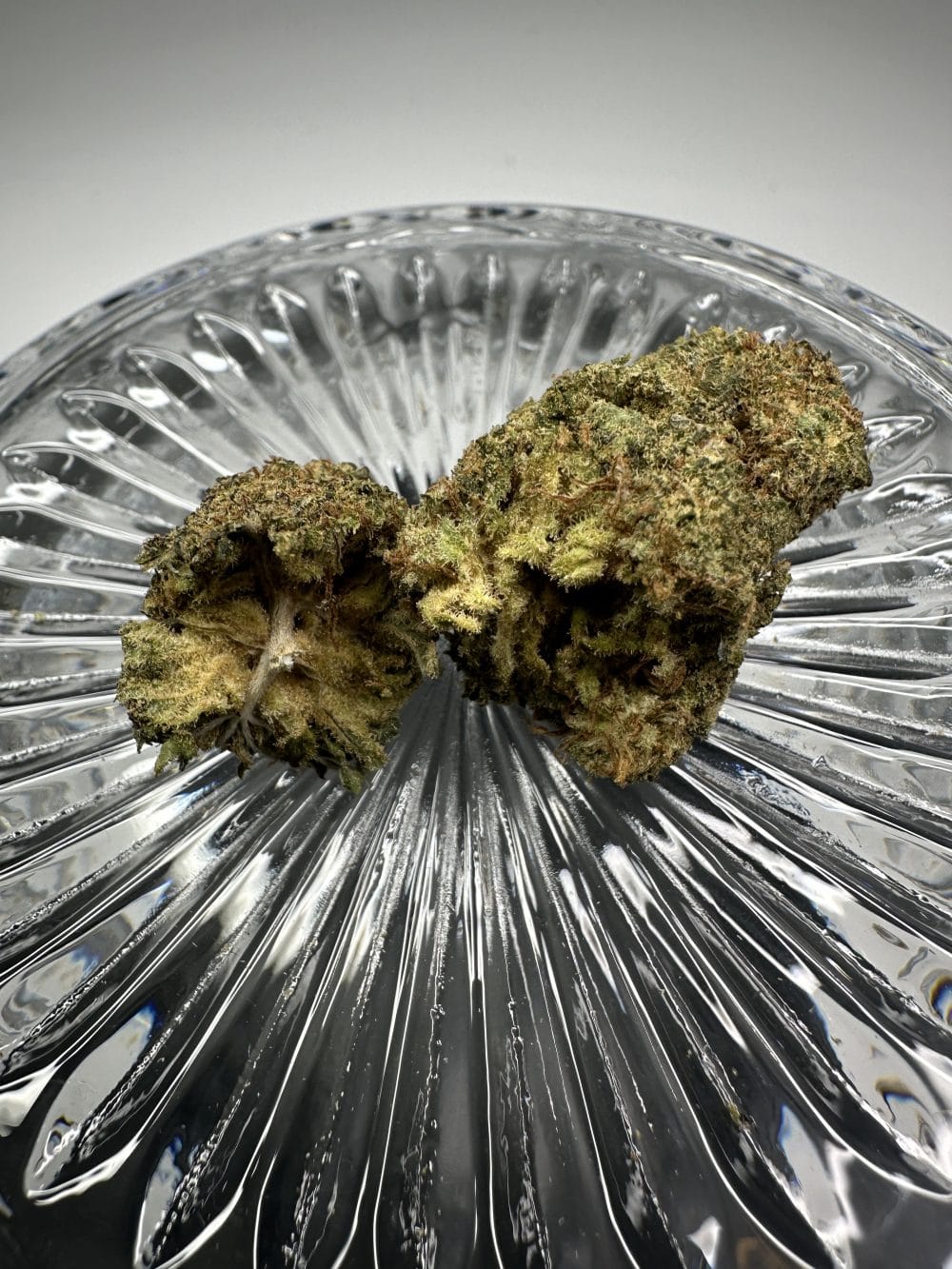 Peanut Butter MAC - Hybrid - Flower - Image 3