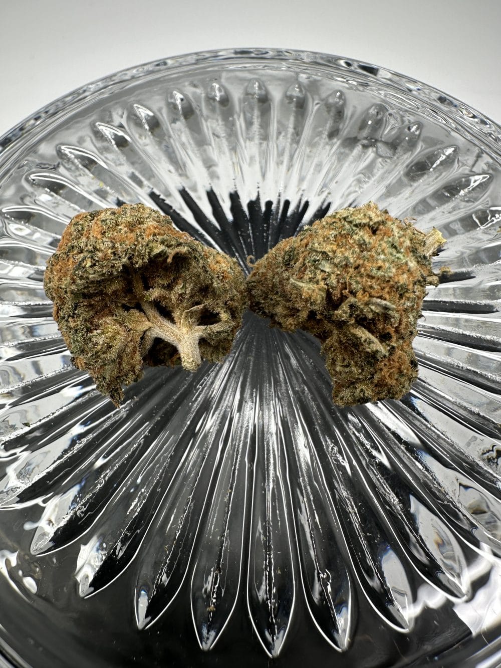 Peanut Butter Cookies - Hybrid - Flower - Image 3