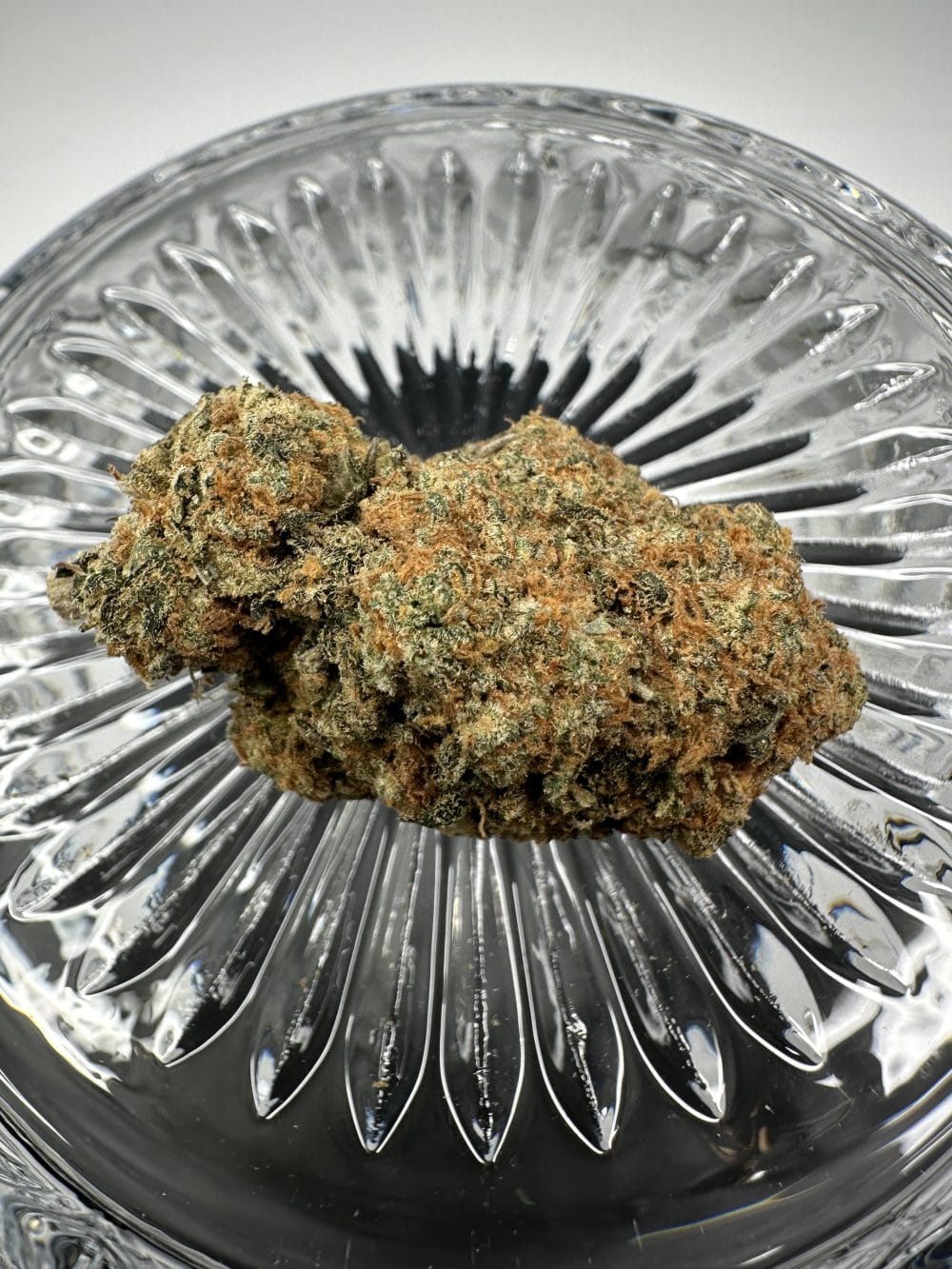 Peanut Butter Cookies - Hybrid - Flower - Image 2