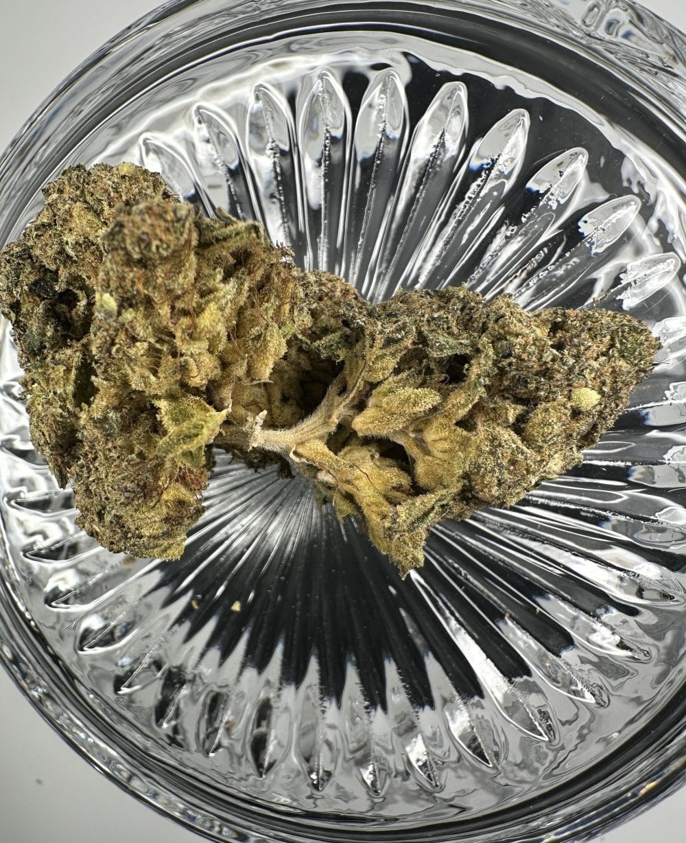 Runtz - Hybrid - Flower - Image 3