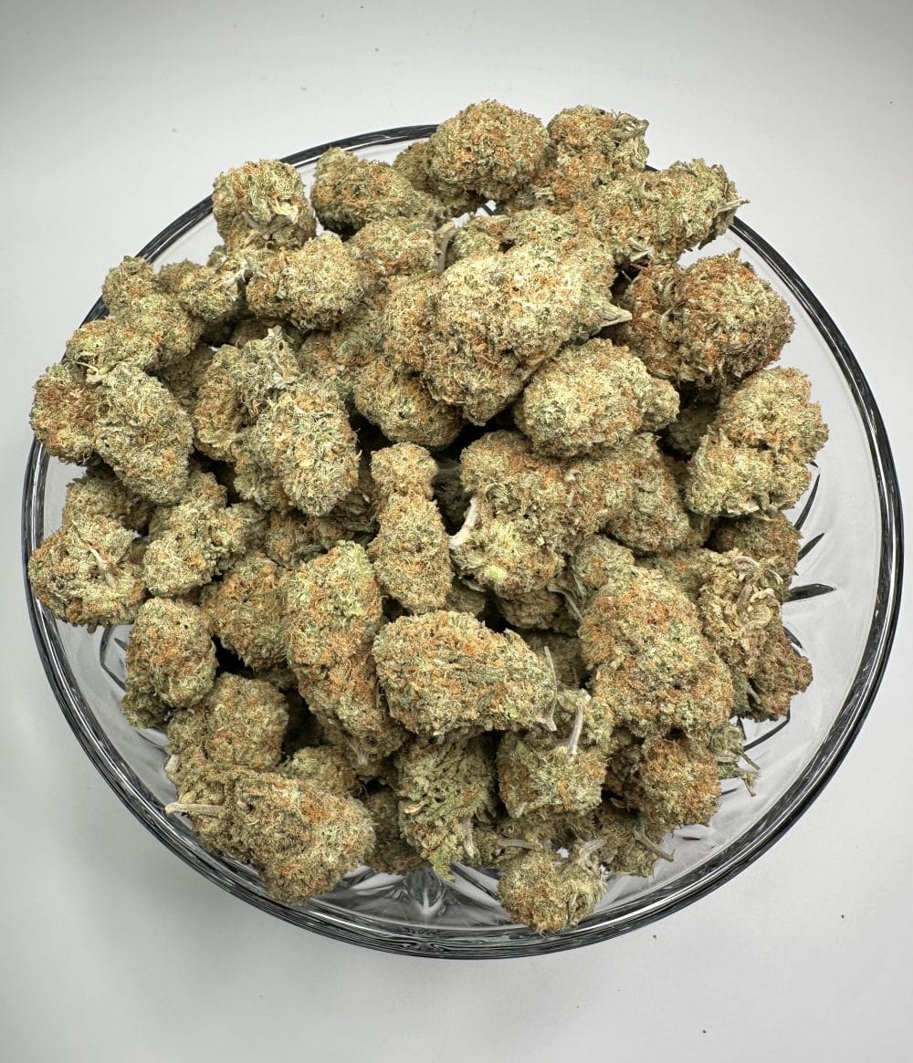 Sherbert - Hybrid - Flower