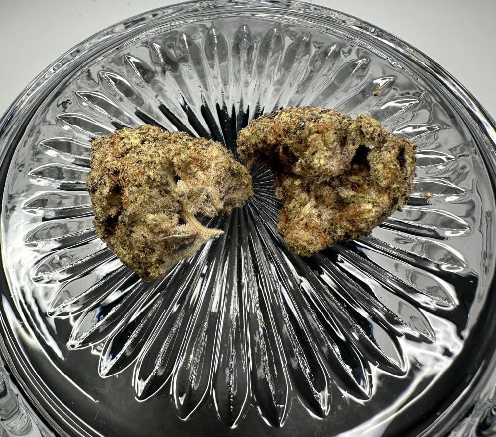 Sunset Sherbert - Indica - Flower - Image 3