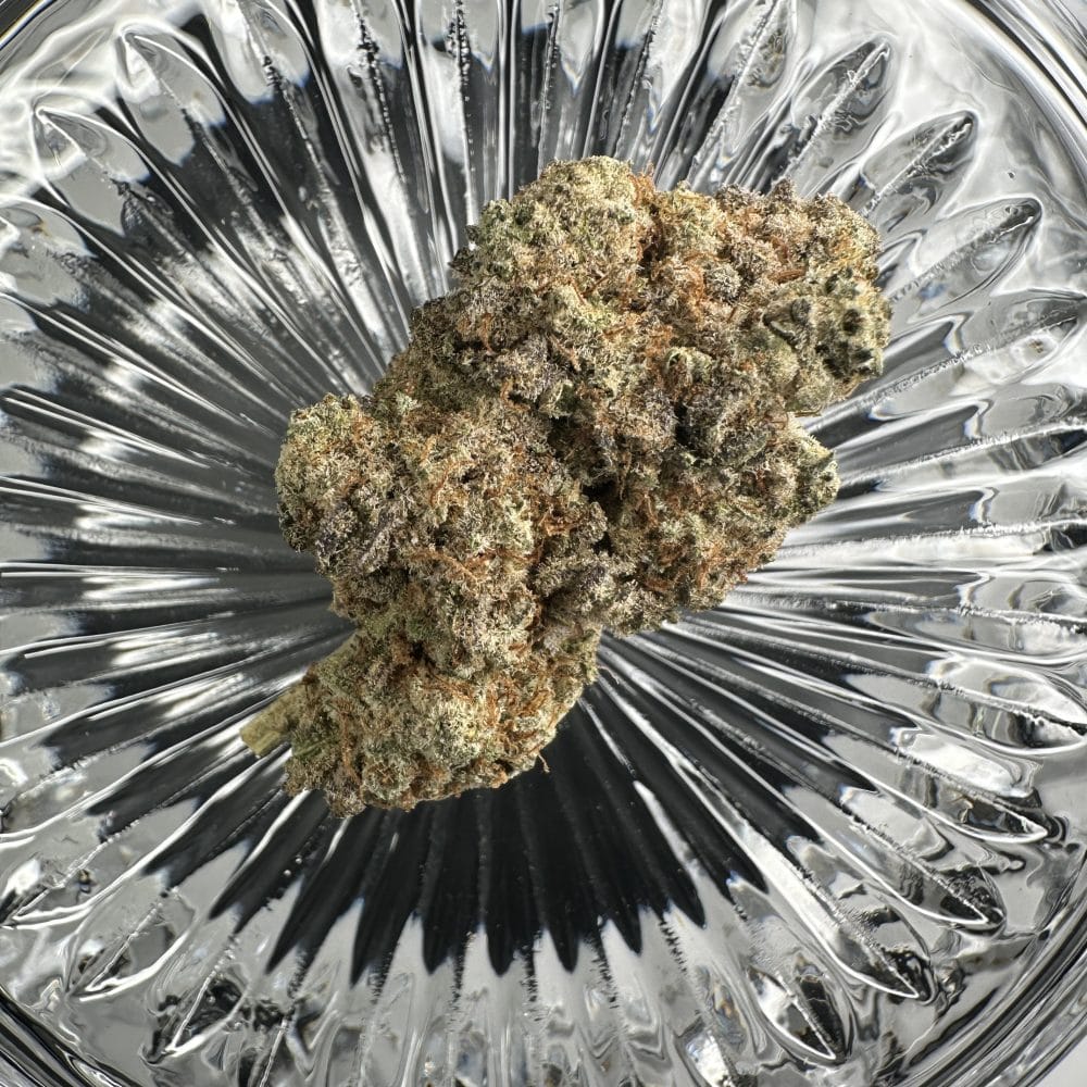 Shop Secondary Image Shop Secondary Image