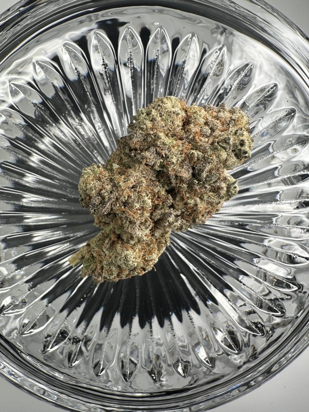 Sunset Sherbert - Indica - Flower - Image 2