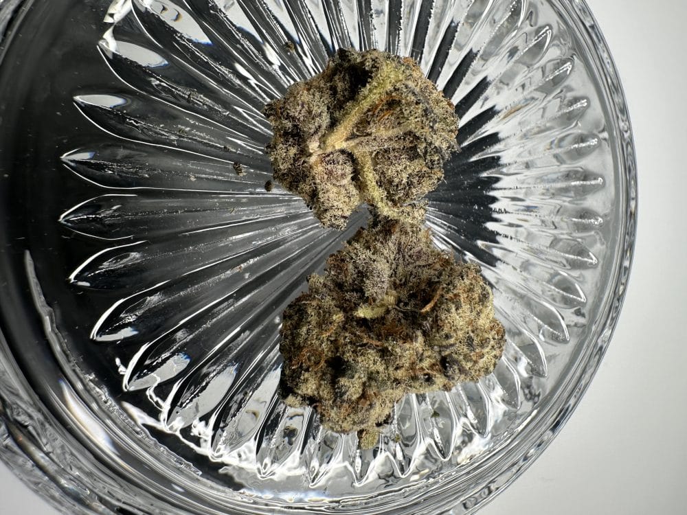 White Truffle - Indica - Flower - Image 3