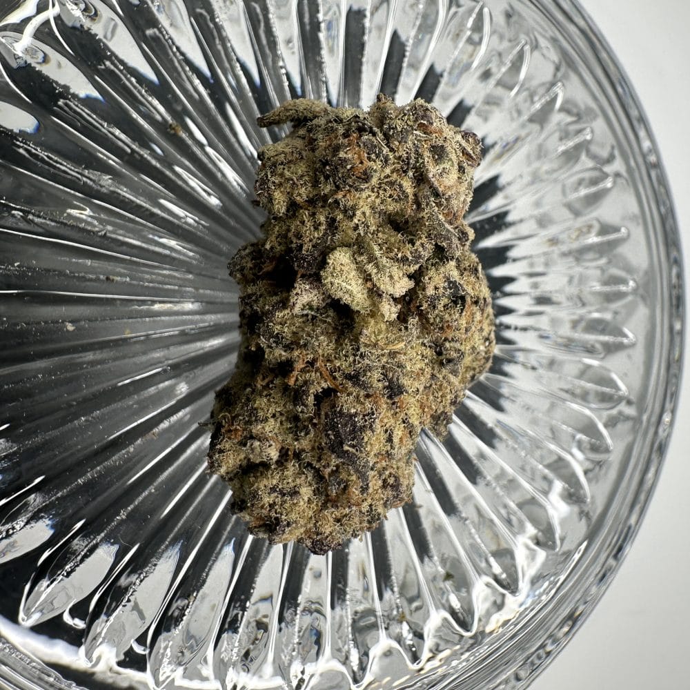 Shop Secondary Image Shop Secondary Image