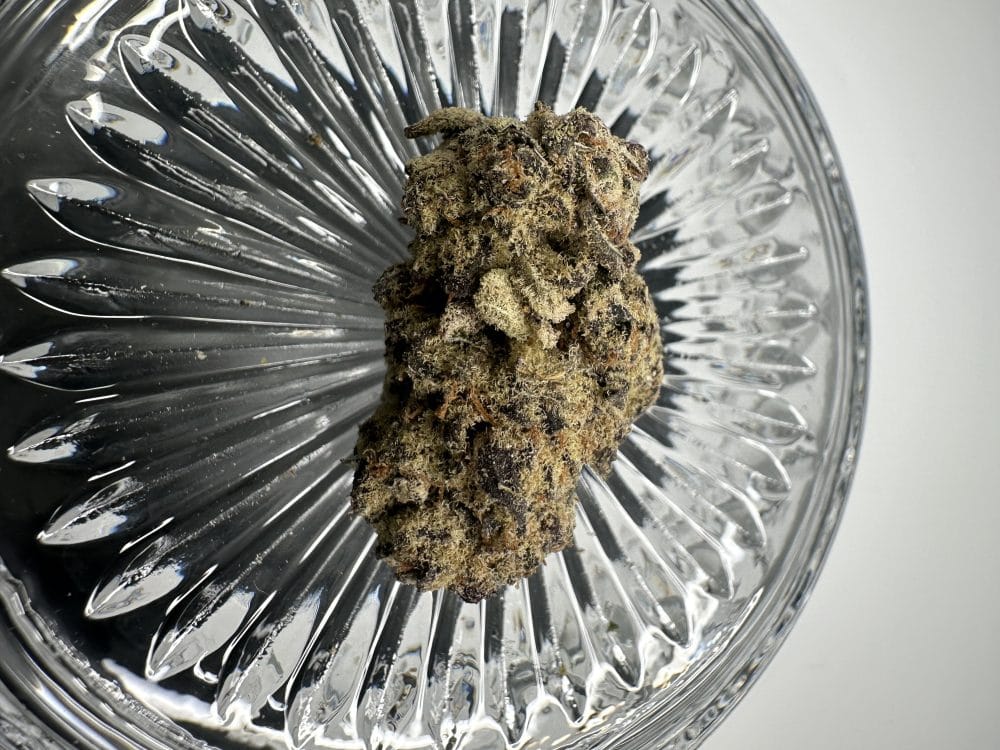 White Truffle - Indica - Flower - Image 2
