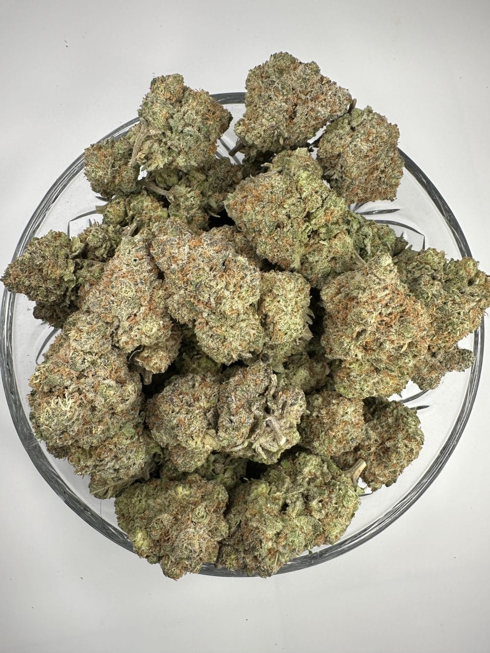 Guava - Hybrid - Flower