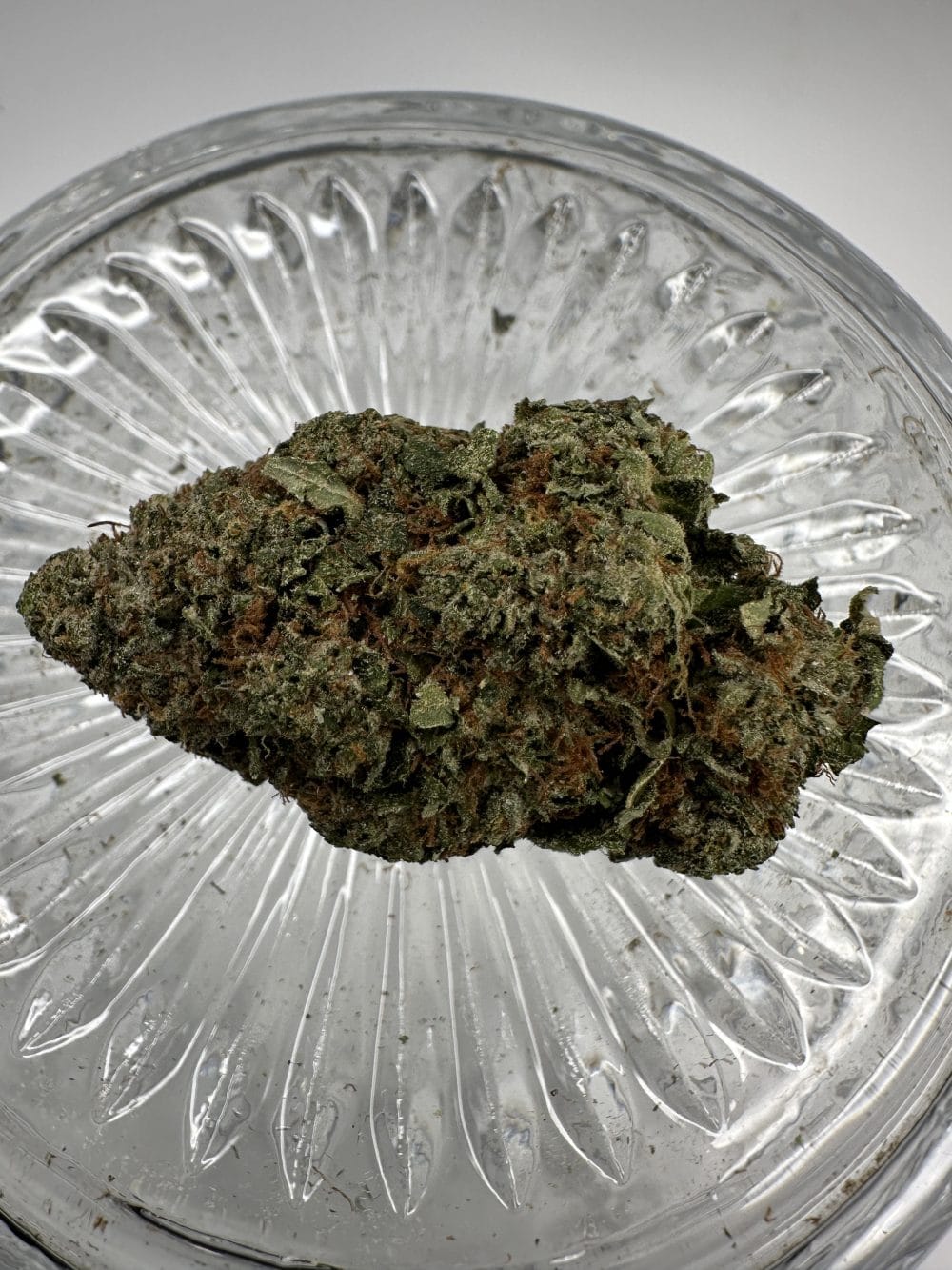 Motorbreath - Hybrid - Flower - Image 2