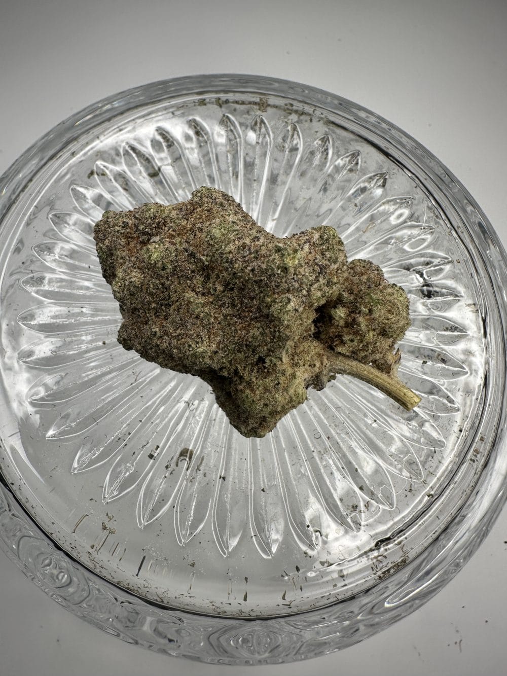 Sundae X Gushers - Indica - Flower - Image 2